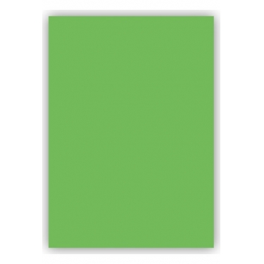 Adel Fon Kartonu Açık Yeşil 50X70 Cm 100 Lü (1 Paket 100 Adet)