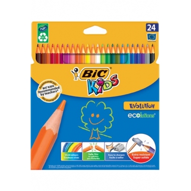 Bic Evolution Kuru Boya Kalemi 24'li Paket